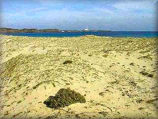 Cette zone dunaire protégée constitue la limite entre la mer, la plage et l'albufera de Cala Morella, en plein cœur du parc naturel d'Es Grao, à proximité du Faro de Favaritx.